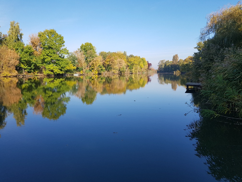 20171015_091101_resized.jpg