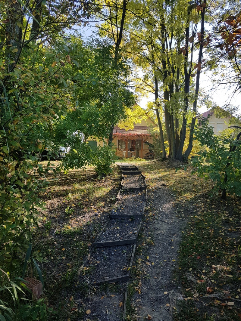 20171015_093604_resized.jpg